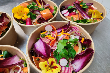 Les casiers d Ossau - Sévignac-Meyracq