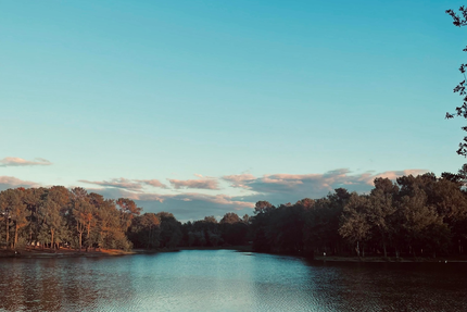Restaurant la Forêt