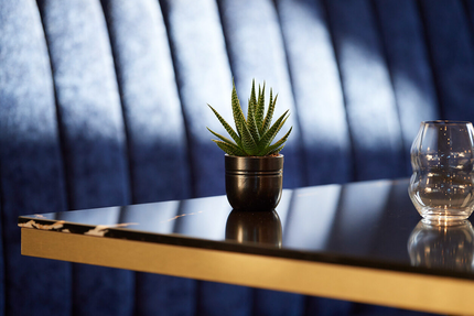 Le Bistro des Vignes