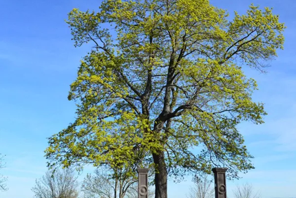 La Ferme Saint Sébastien