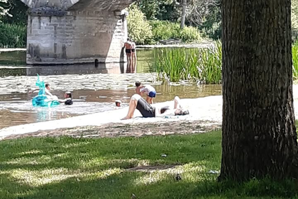 Les Petites Sardines