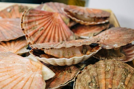 Le Terroir des Vignobles