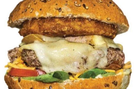 TOP PIZZA BURGER (CDG)