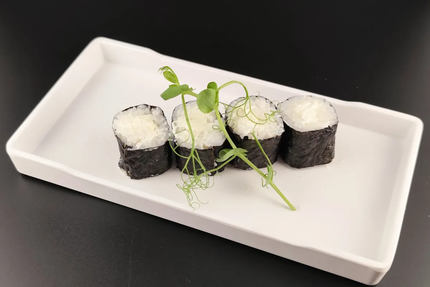 MOYA Plaisance du Touch