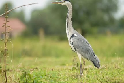Estaminet Au Bon Accueil