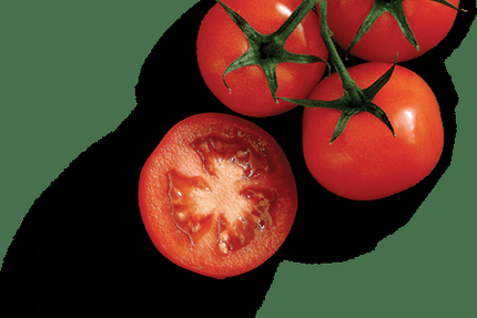 Pizzeria des Gaulois