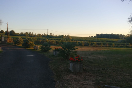 Le Soleil Réunionnais