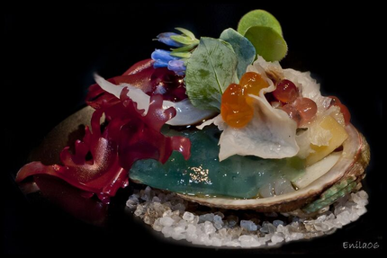 SensÔriel by Noëlle & David Faure