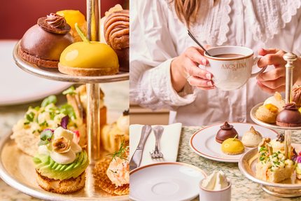 Angelina the village