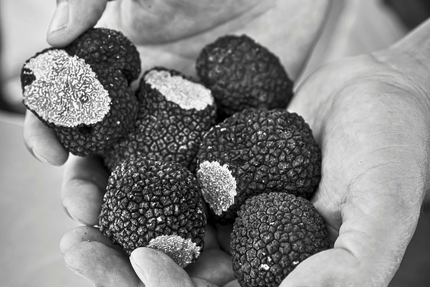 Domitia - Maison de Cuisinier