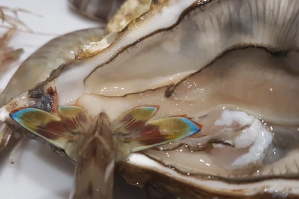 Restaurant L'instant Z