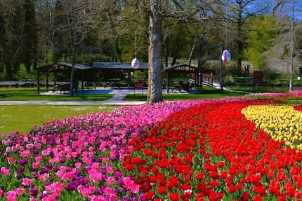 Orangerie du Château de Cheverny
