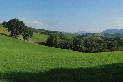 Restaurant Ogibarnia Macaye