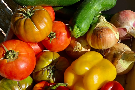 Le jardin d'Édouard