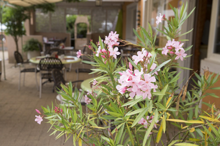 Restaurant Traiteur Le Provençal