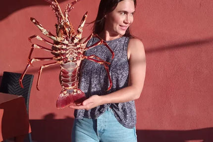 A MACCIOTTA " la maison de la langouste "