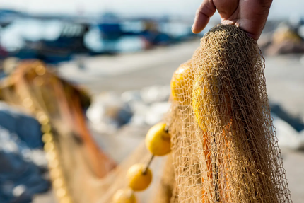 A MACCIOTTA " la maison de la langouste "
