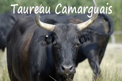 Restaurant La Grange