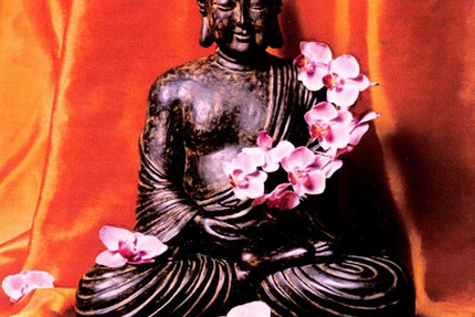 Restaurant L'Orchidée