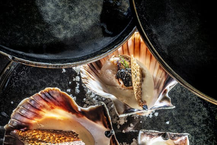 Auberge Fontaine du Berger