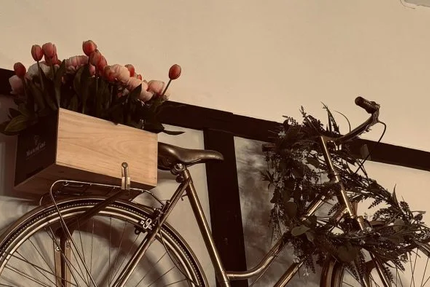 Bicicletta Ristorante