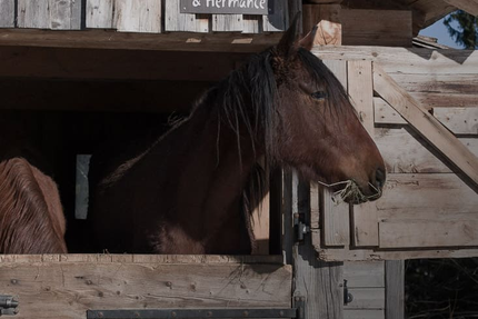 La Ferme des Vônezins