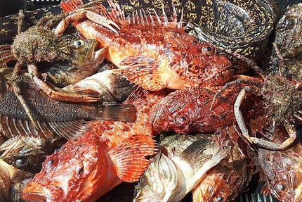 Restaurant Maurin des Maures