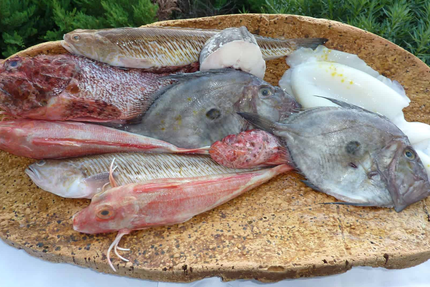 Restaurant Maurin des Maures