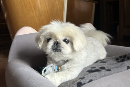 La Riviera Bar Restaurant Parc aquatique