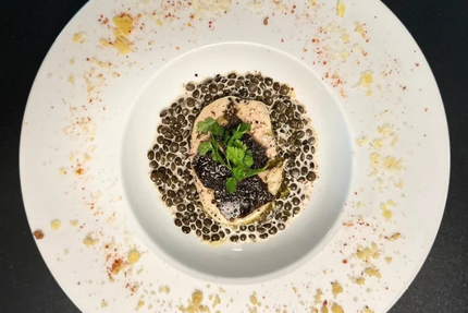 Confidences de Papilles