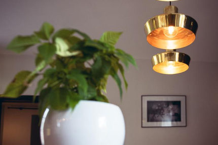 Auberge de la Grange Aux Loups