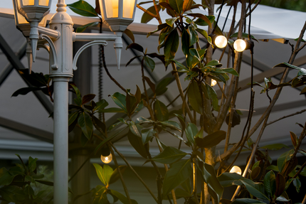 Restaurant Le Louisiane