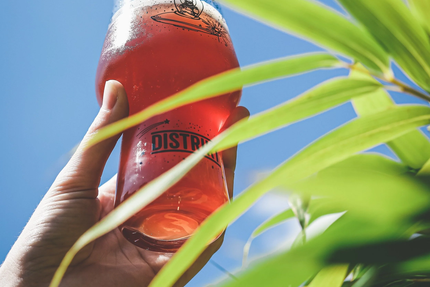 DISTRIKT BEER & BURGER