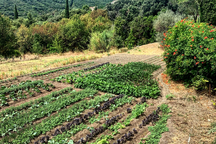 Äponem L'Auberge du Presbytere
