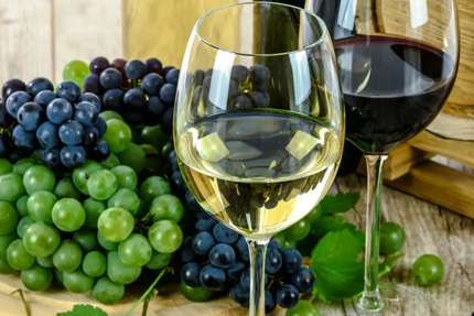 Auberge de L' Abbaye