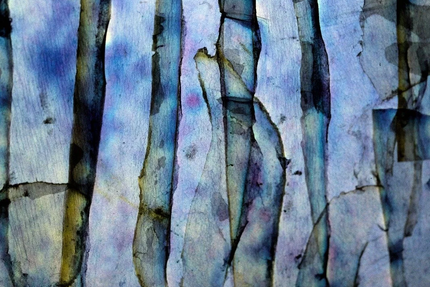 Restaurant La Folie Barbizon