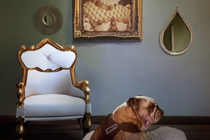 Bistrot La Belle Rose