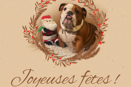 Bistrot La Belle Rose