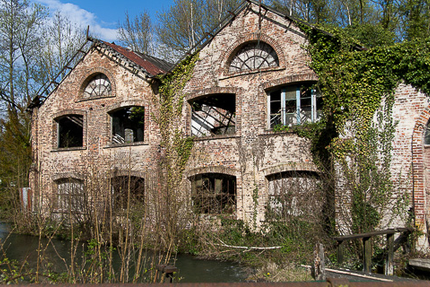 L'Orée de la Forêt