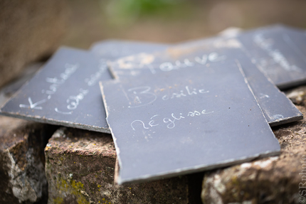 L'Orée de la Forêt