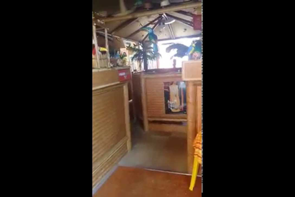 Restaurant la Paillotte