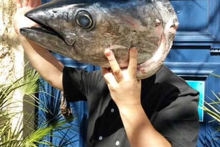 Restaurant Gruissan - La Cranquette