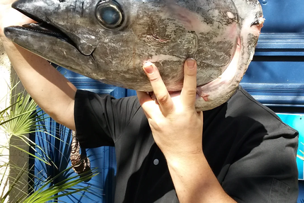 Restaurant Gruissan - La Cranquette