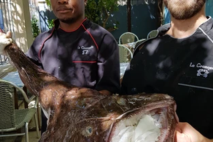 Restaurant Gruissan - La Cranquette