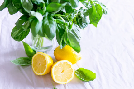 Citron & Basilic Artisan Traiteur