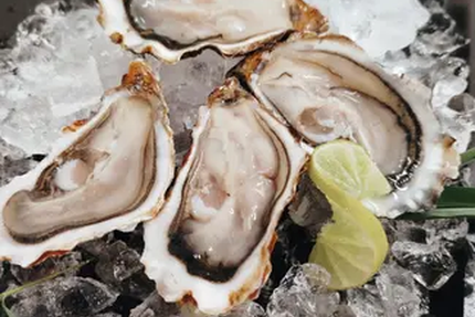 Sea mood plateaux de fruits de mer