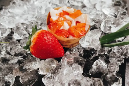 Sea mood plateaux de fruits de mer