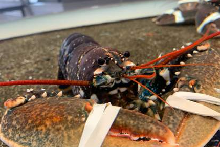 Auberge de la Vieille Eglise