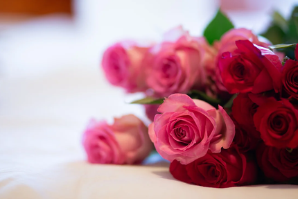 Le Temps Des Saisons