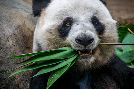 Côté Et Nake Sushi